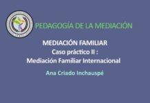 Mediación Familiar Internacional, análisis de un caso real