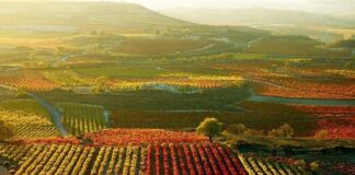 Mediación en La Rioja