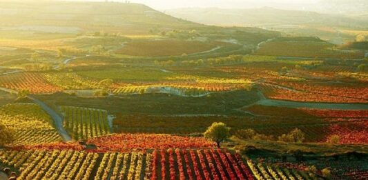 Mediación en La Rioja