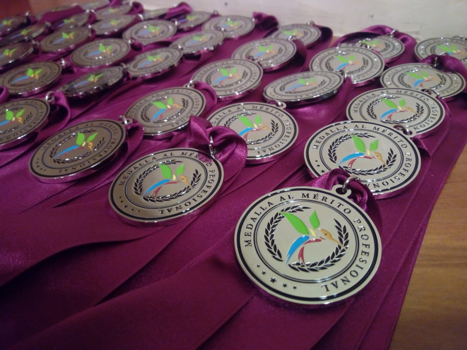 Gala Medallas al Mérito Profesional 2019