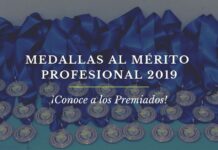 Premiados Medallas Mérito Profesional 2019