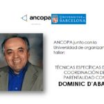 Taller Dominic Ancopa