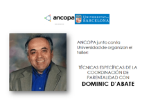 Taller Dominic Ancopa