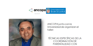 Taller Dominic Ancopa