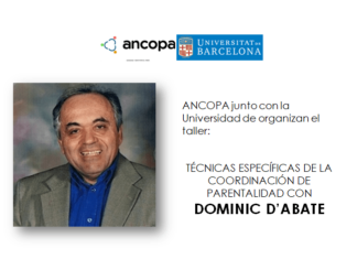 Taller Dominic Ancopa