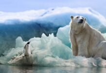 ¿Se podría llegar a un acuerdo sobre el clima con un mediador entre mandatarios?