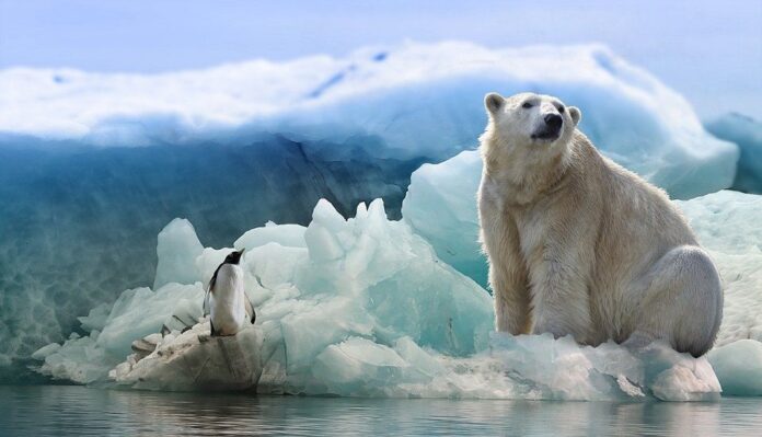 ¿Se podría llegar a un acuerdo sobre el clima con un mediador entre mandatarios?