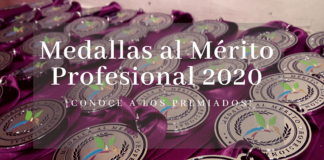 premiados con la medalla al mérito profesional 2020