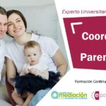 Experto en coordinador de parentalidad