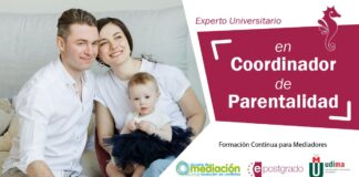 Experto en coordinador de parentalidad