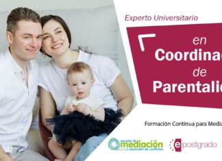 Experto en coordinador de parentalidad