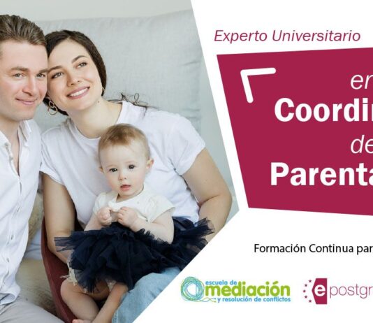 Experto en coordinador de parentalidad