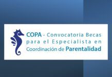 Becas Especialista en Coordinación de parentalidad