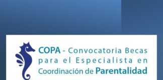 Becas Especialista en Coordinación de parentalidad