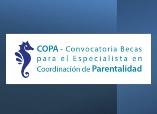 Becas Especialista en Coordinación de parentalidad