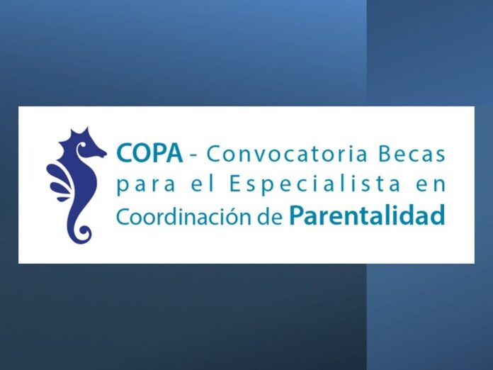 Becas Especialista en Coordinación de parentalidad