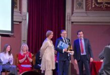 XIV Edición Premios AMMI