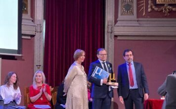 XIV Edición Premios AMMI